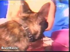 A fluffy puppy learns to appreciate a fat, amateur bitch's fur pie.